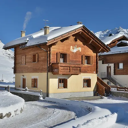 Mirtillo Livigno